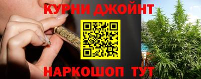 spice Гай